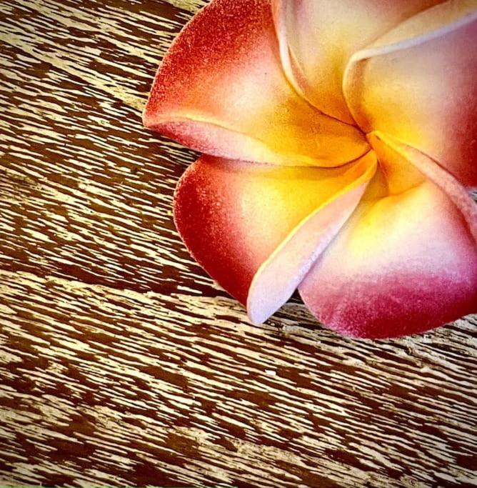 乌布Boho Bellissimo别墅 外观 照片